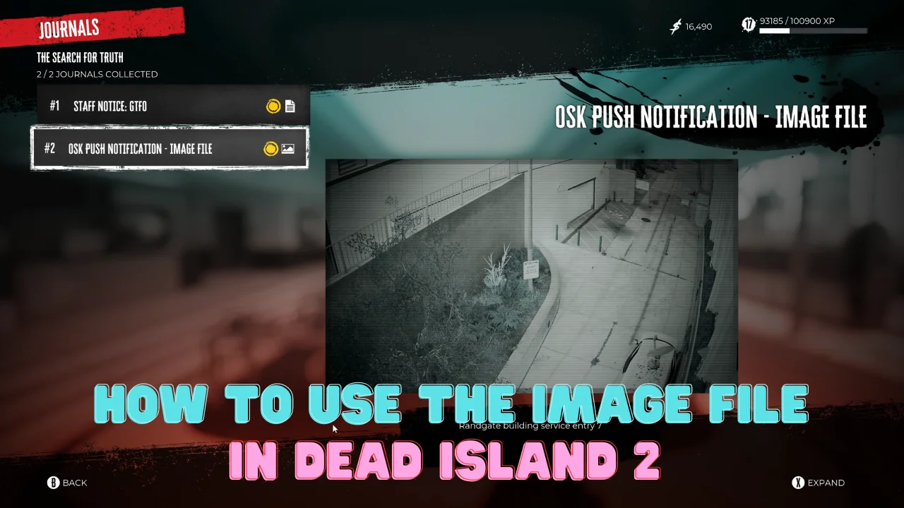 How to use the image file in dead island 2